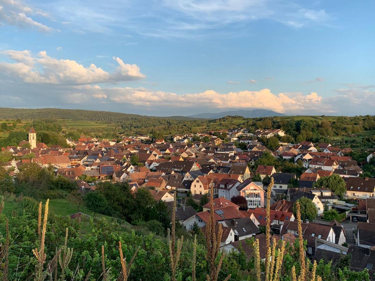 Ferienwohnung Luna -3 Schlafzimmer, Waschmaschine, Kueche, Wlan, Ca 15 Min Bis Zum Europa Park, Malterdingen Exteriör bild