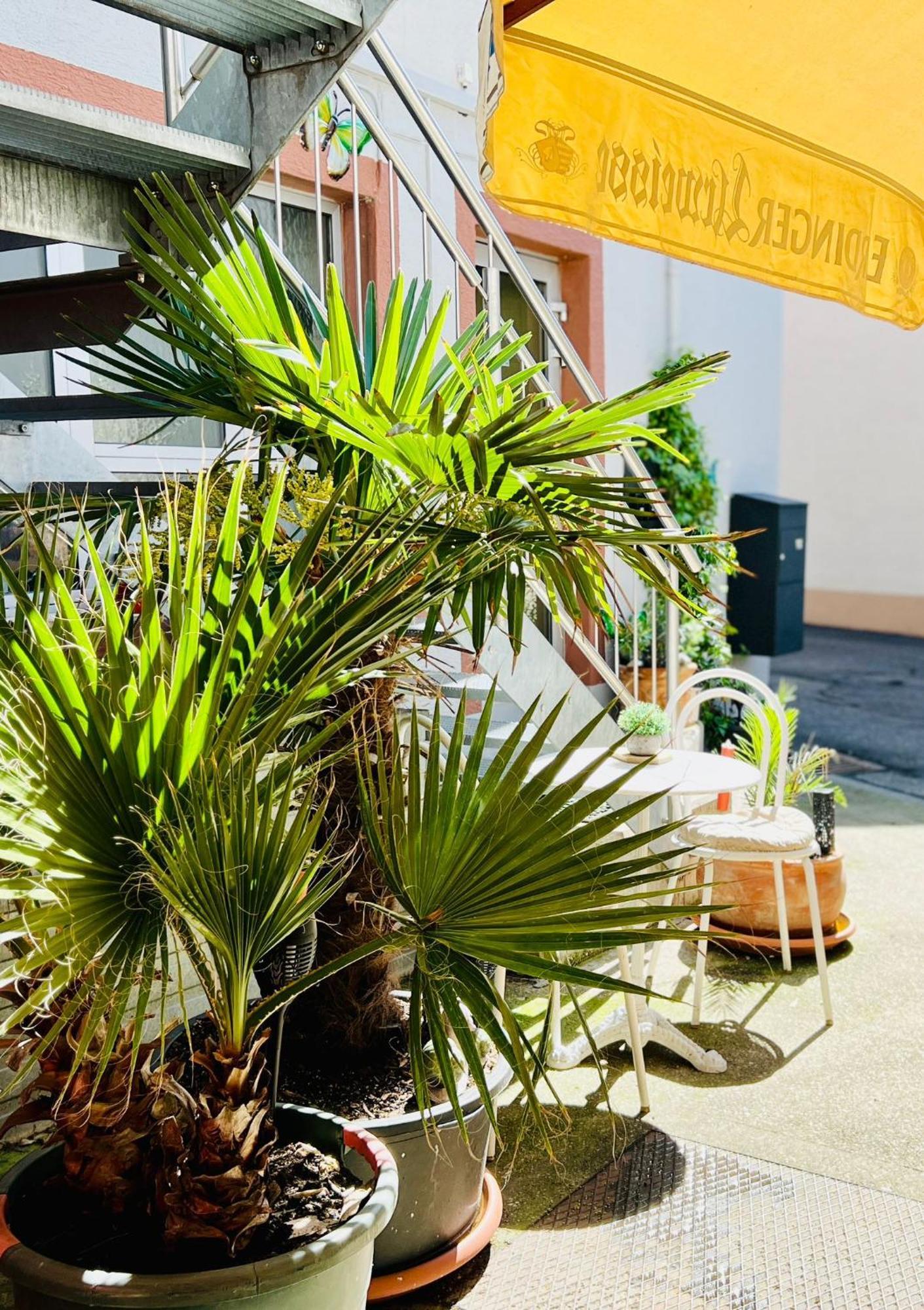 Ferienwohnung Luna -3 Schlafzimmer, Waschmaschine, Kueche, Wlan, Ca 15 Min Bis Zum Europa Park, Malterdingen Exteriör bild